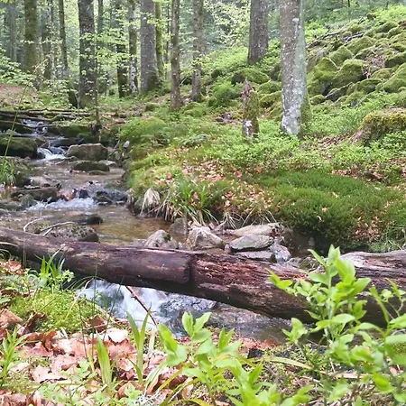 Vosgien Avec 9 Pour 22 Personnes *
