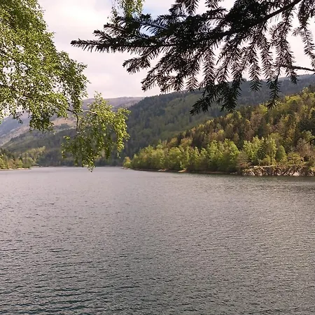 Vosgien Avec 9 Pour 22 Personnes *