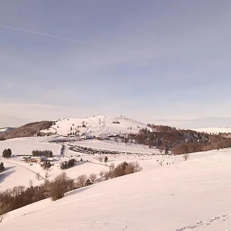 Vosgien Avec 9 Pour 22 Personnes