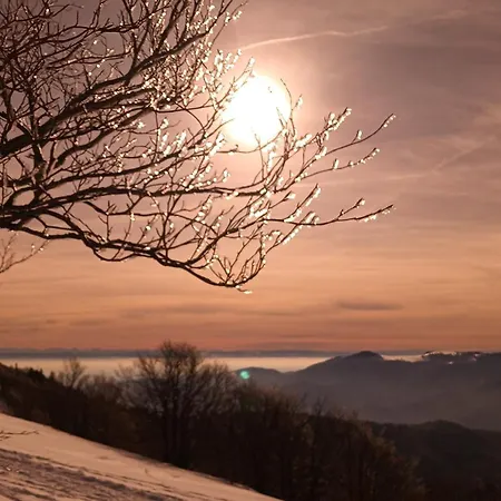 Vosgien Avec 9 Pour 22 Personnes Fellering