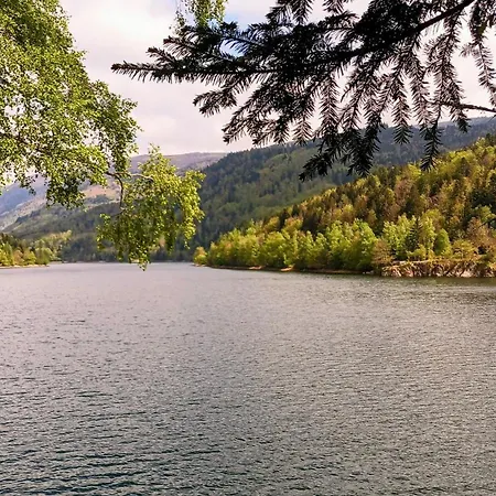 Σπίτι διακοπών Vosgien Avec 13 Pour 30 Personnes Fellering